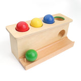 LEADER JOY Montessori Toddlers Wooden Push Ball Toys Baby Preschoolers Toys Push Toys