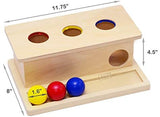 LEADER JOY Montessori Toddlers Wooden Push Ball Toys Baby Preschoolers Toys Push Toys