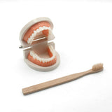 Montessori Brushing Aids