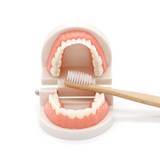 Montessori Brushing Aids