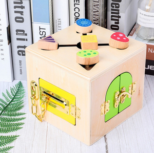 Montessori Lock Box